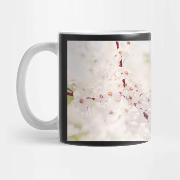 White cherry flowers by lena-maximova